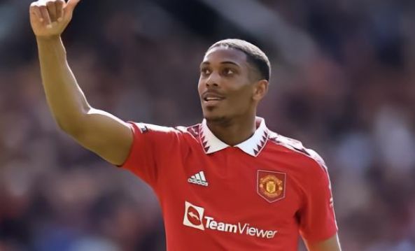 石洵瑶和蒯 石洵瑶和蒯