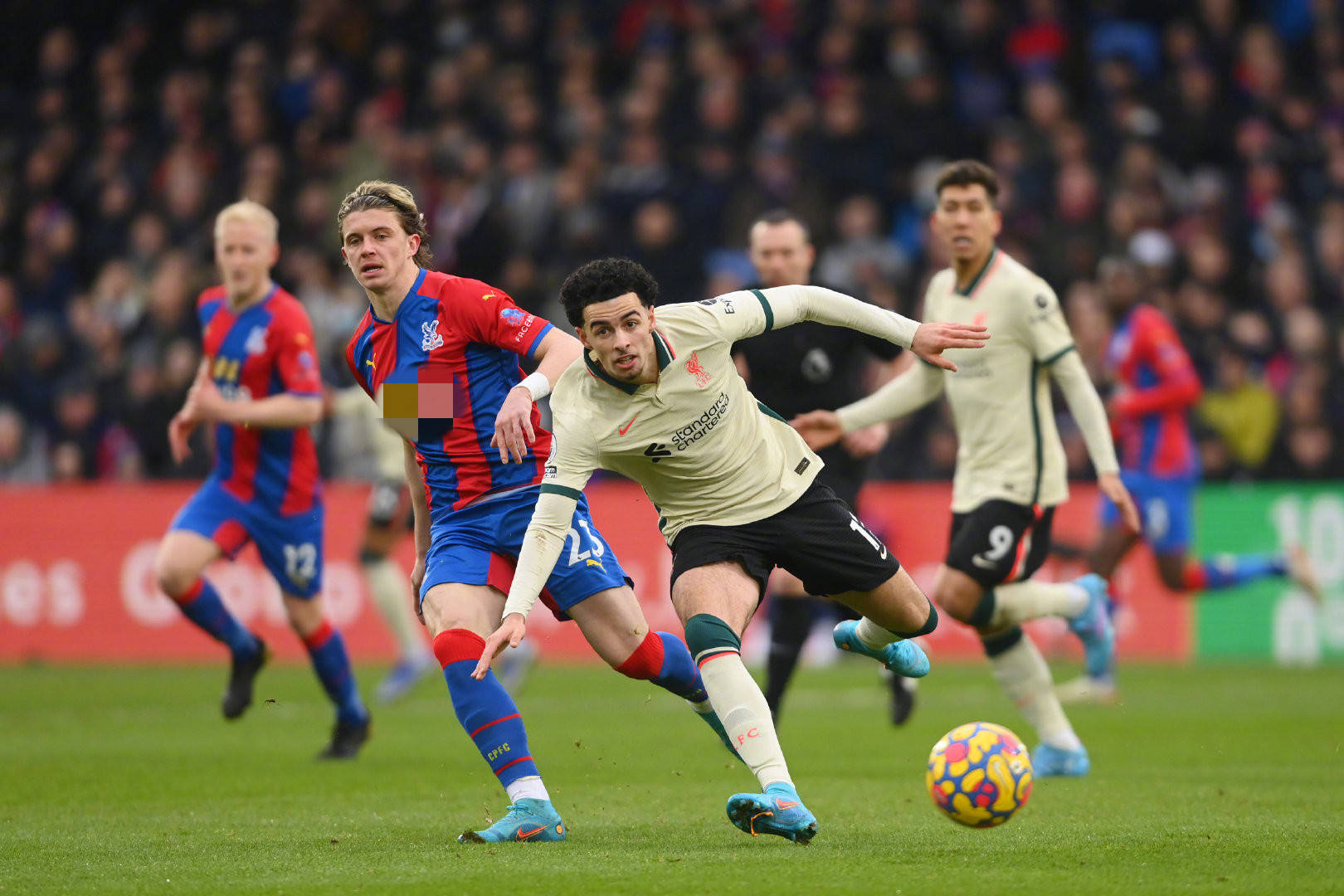 世界语言 世界语言